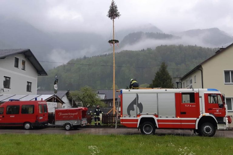 Maibaum an neuem Standort erfolgreich aufgestellt