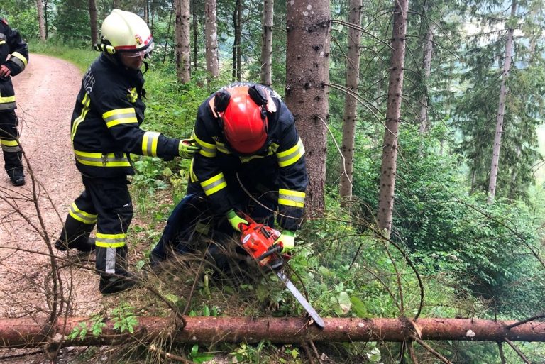 „Unwettereinsatz“ bei Zugsübung